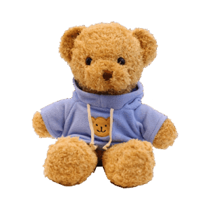 Bamse med hættetrøje