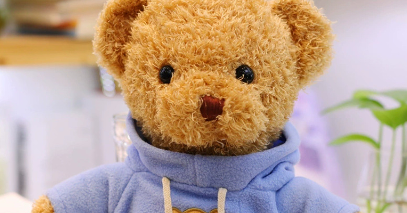 teddy
